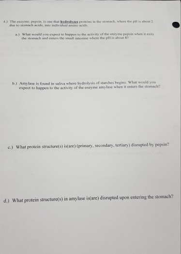 4.) The enzyme, pepsin, is one that hudrolvess proteins in the stomach, where the pH Is aboun 2 due to stomach acidx, into individual amino acids a) What would you expect to happen so the activity of the enzyme pepsin when in exits the stomach and enters the small imestine where the pi is about ? b.) Amylase is found in saliva where hydrolysis of starches begins. What would you expeet to happen to the activity of the enryme amylase when it enters the stomach? c.) What protein structure(s) is are) (primary, secondary, tertiary) disrupted by pepsin? d.) What protein structure(s) in amylase is(are) disrupted upon entering the stomach?