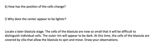 k) How has the position of the cells change? 1) Why does the center appear to be lighter? Locate a later blastula stage. The