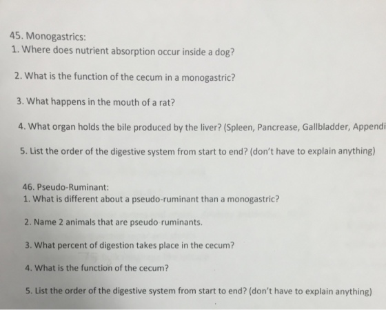 Monogastrics: Where does nutrient absorption occu