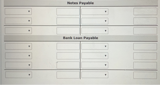 Notes Payable Bank Loan Payable