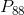 P_{88}