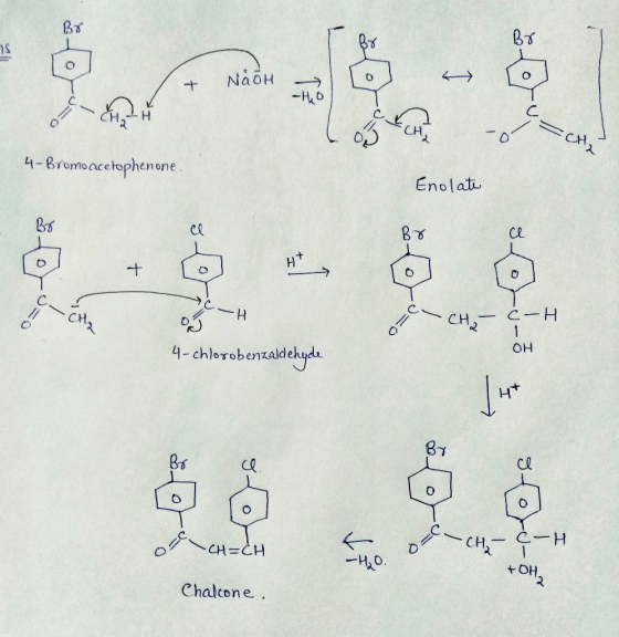 183 ___ ܢ NaOH + -H 6 4- Bromo acetophenone Enolate Br ܂ 0ܐ - A . C- H 4-chlorobenzaldehyde он :© : G CH -CH=CH -A9. Chalcone