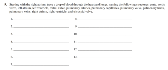 9. Starting with the right atrium, trace a drop of blood through the heart and lungs, naming the following structures: aorta,