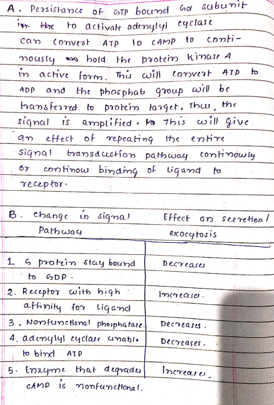 ance of GTP bound Gal subunit A. Persistance of GTp. bound ha int tibe to activate adenylyl cyclase can conveot Conveot ATP c