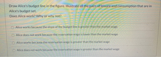 Draw Alices budget line in the figure. Illustrate all the pairs of leisure and consumption that are in Alices budget set. D