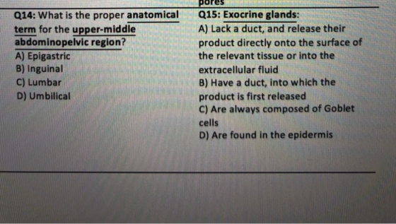 Q14: What is the proper anatomical term for the upper-middle abdominopelvic region? A) Epigastric B) Inguinal C) Lumbar D) Um