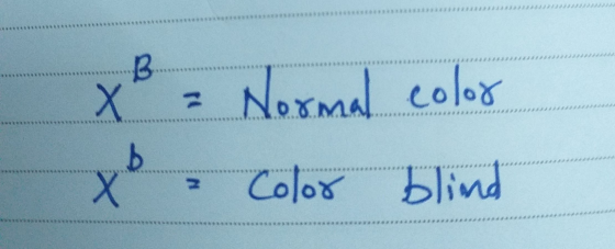 X X = Normal color - Color blind -