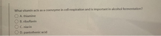 What vitamin acts as a coenzyme in cell respiration and is important in alcohol fermentation? O A. thiamine O B. riboflavin O