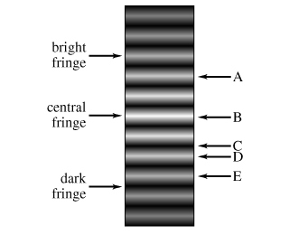 1020405.jpg