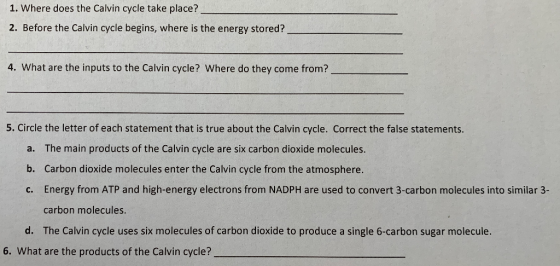 1. Where does the Calvin cycle take place? 2. Before the Calvin cycle begins, where is the energy stored? 4. What are the inp