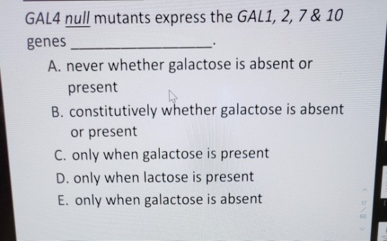 GAL4 null mutants express the GAL1, 2, 7 & 10 genes A. never whether galactose is absent or present B. constitutively whether