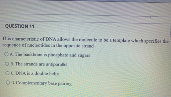 QUESTION 11 This characteristic of DNA allows the molecule to be a template which specifies the sequence of nucleotides in th