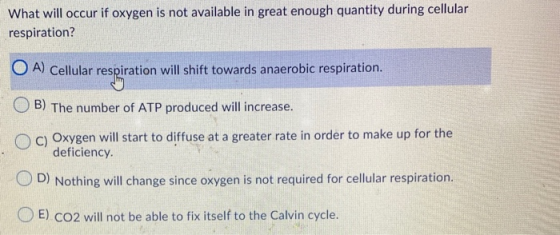What will occur if oxygen is not available in great enough quantity during cellular respiration? O A) Cellular respiration wi