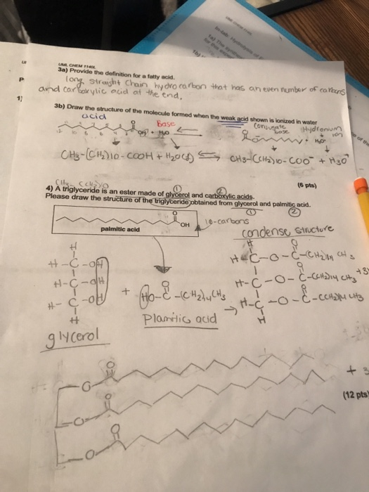 CH 3a) Provide the definition for a fatty acid long straight Chain hydrocarbon that has an even number of covers and carboxyl