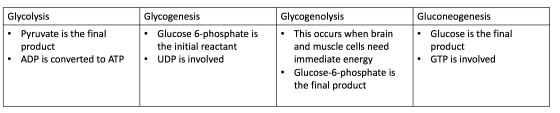 Glycolysis • Pyruvate is the final product ADP is converted to ATP Glycogenesis • Glucose 6-phosphate is the initial reactant