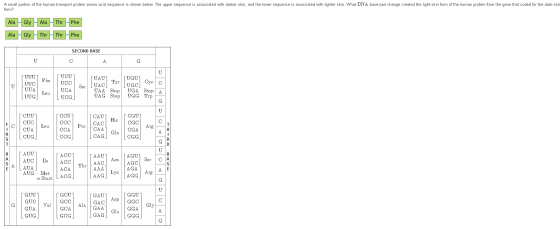 A small portion of the human transport protein amino acid sequence is shown below. The upper sequence is associated with dark