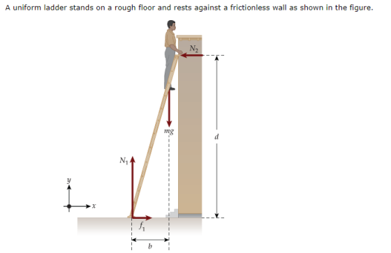 A uniform ladder stands on a rough floor and rests against a frictionless wall as shown in the figure mg N1