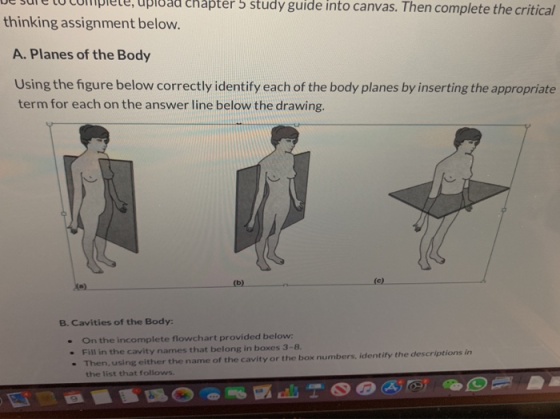 ad chapter 5 study guide into canvas. Then complete the critical thinking assignment below. A.Planes of the Body Using the fi