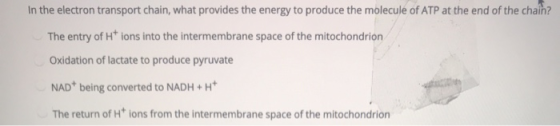 In the electron transport chain, what provides the energy to produce the molecule of ATP at the end of the chain? The entry o