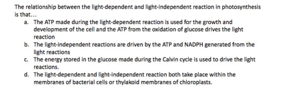 The relationship between the light-dependent and light-independent reaction in photosynthesis is that... a. The ATP made duri