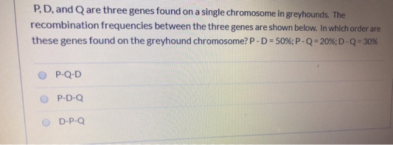P, D, and Q are three genes found on a single chromosome in greyhounds. The recombination frequencies between the three genes