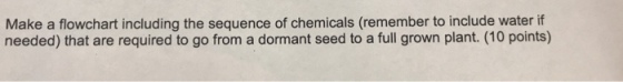 Make a flowchart including the sequence of chemicals (remember to include water if needed) that are required to go from a dormant seed to a full grown plant. (10 points)