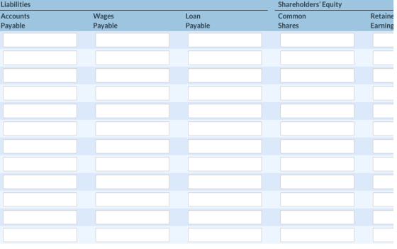 Liabilities Accounts Payable Wages Payable Loan Payable Shareholders Equity Common Shares Retaine Earning