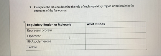 9. Complete the table to describe the role of each regulatory region or molecule in the operation of the lac operon. What It