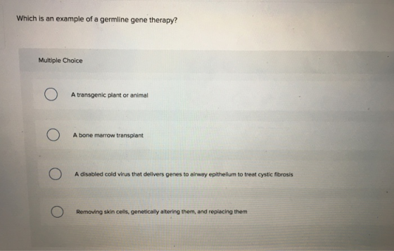 Which is an example of a germline gene therapy? Multiple Choice О A transgenic plant or animal A bone marrow transplant A dis