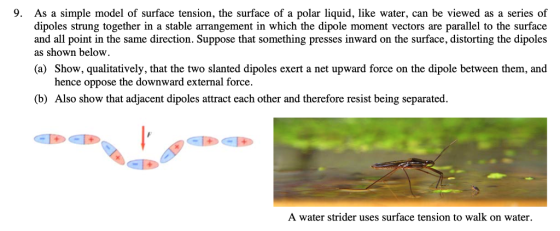 9. As a simple model of surface tension, the surface of a polar liquid, like water, can be viewed as a series of dipoles strung together in a stable arrangement in which the dipole moment vectors are parallel to the surface and all point in the same direction. Suppose that something presses inward on the surface, distorting the dipoles as shown below (a) Show, qualitatively, that the two slanted dipoles exert a net upward force on the dipole between them, and the downward external force. (b) Also show that adjacent dipoles attract each other and therefore resist being separated. A water strider uses surface tension to walk on water.