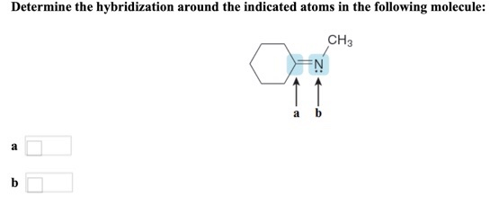 Determine the hybridization around the indicated atoms in the following molecule: CH3 =N b