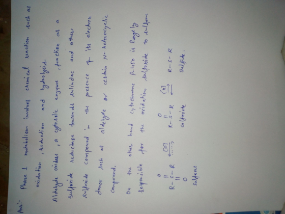 phase 1 metabolish. Involve! chemical chen Auch oxidation du chow and hydro lris Contound Responsi ble h3 CoT Suton
