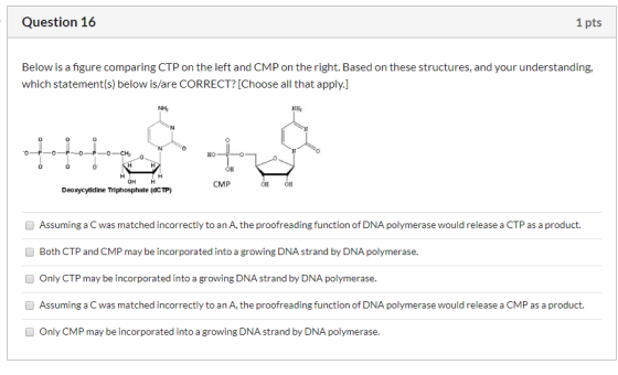 Question 16 1 pts Below is a figure comparing CTP on the left and CMP on the right. Based on these structures, and your under