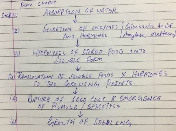 SepAbsokPTioN OF WATER 2 ) SECRETION Of ENZYMESibesselre Aeed SoLubsle Poem