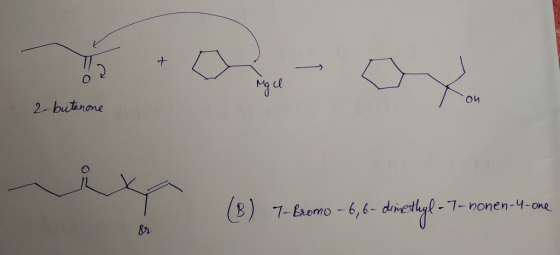 ЛИ 2-butanone (B) 7-Bromo -6, 6-dimethyl - 7-nonen-4-one