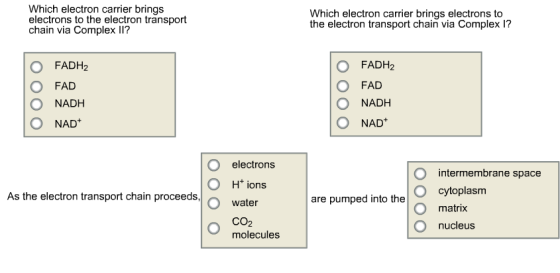 Which electron carrier brings electrons to the ele