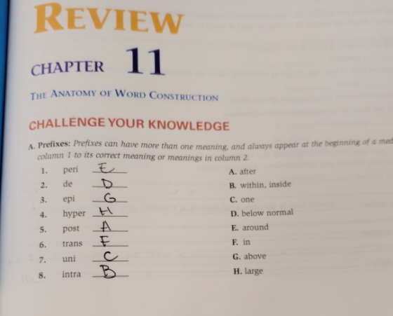 REVIEW CHAPTER 11 CHAPTER THE ANATOMY OF WORD CONSTRUCTION CHALLENGE YOUR KNOWLEDGE A Prefixes: Prefixes can have more than o