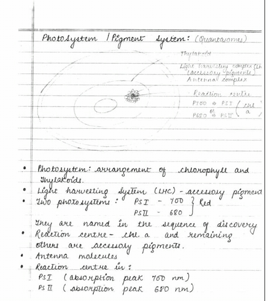 Photosystem / Pigment dystem: (Quantasonnes) Tatatatat Light Time Tuns complex (th LALLADS promene Antennai complex : Renctio