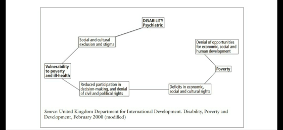 DISABILITY Psychiatric Social and cultural exclusion and stigma Denial of opportunities for economic, social and human develo