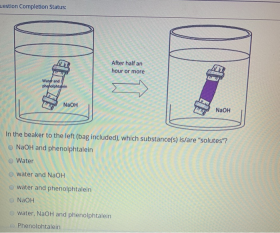 estion Completion Status: / / / After half an hour or more Watot and phenolphin NaOH NaOH In the beaker to the left (bag incl