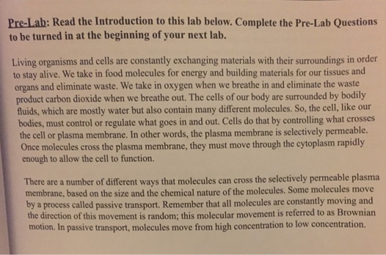 Pre-Lab: Read the Introduction to this lab below. Complete the Pre-Lab Questions to be turned in at the beginning of your next lab. Living organisms and cells are constantly exchanging materials with their surroundings in order to stay alive. We take in food molecules for energy and building materials for our tissues and organs and eliminate waste. We take in oxygen when we breathe in and eliminate the waste product carbon dioxide when we breathe out. The cells of our body are surrounded by bodily fluids, which are mostly water but also contain many different molecules. So, the cell, like our bodies, must control or regulate what goes in and out. Cells do that by controlling what crosses the cell or plasma membrane. In other words, the plasma membrane is selectively permeable. Once molecules cross the plasma membrane, they must move through the cytoplasm rapidly enough to allow the cell to function. There are a number of different ways that molecules can cross the selectively permeable plasma membrane, based on the size and the chemical nature of the molecules. Some molecules move by a process called passive transport. Remember that all molecules are constantly moving and the direction of this movement is random; this molecular movement is referred to as Brownian motion. In passive transport, molecules move from high concentration to low concentration