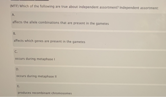 (MTF) Which of the following are true about independent assortment? Independent assortment: affects the allele combinations t