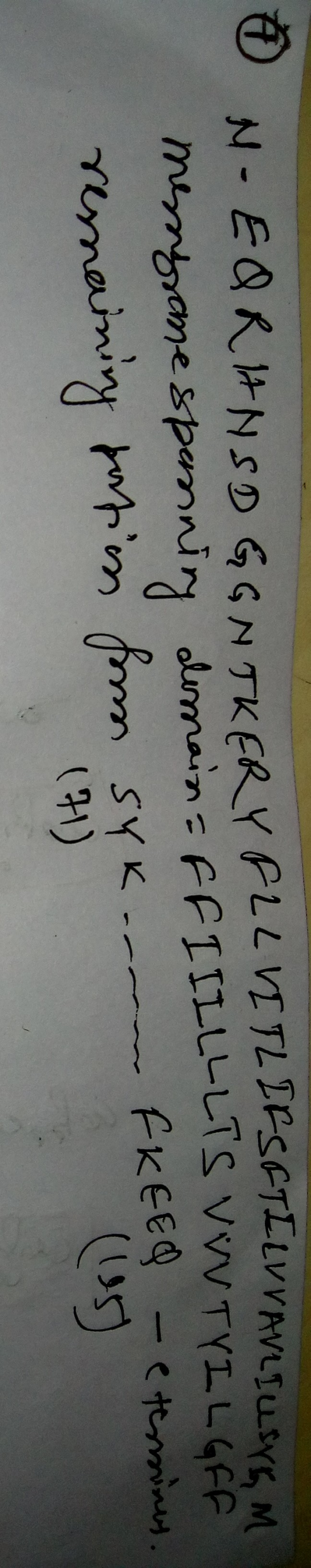 ON- EORI NSD GGNTKERY FLL VI TL LESETLLVVAVLIUSVK M membrane spenning demain=FFIIILLLIS VNTYILGFF resnaining portion from syk