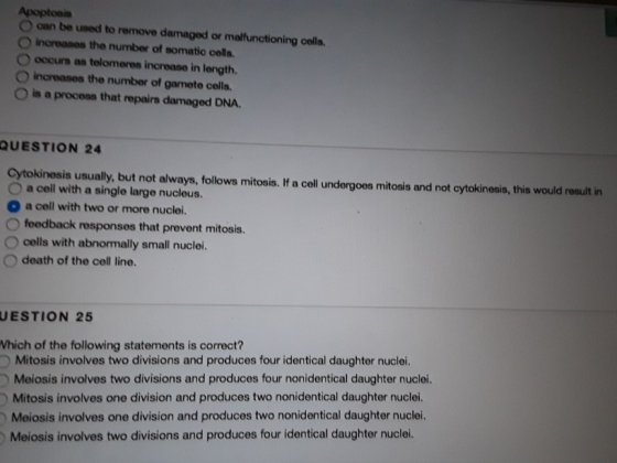 O can be used to remove damaged or malfunctioning cells O increases the number of somatic cells. O occurs as telomeres increase in length. O increases the number of gamete cells O is a process that repairs damaged DNA. QUESTION 24 Cytokinosis usually, but not always, follows mitosis. If a cell undergoos mitosis and not cytokinosis, this would result in O a cell with a single large nucleus. a cell with two or more nuclei. O feedback responsos that provent mitosis. O cells with abnormally small nuclei. O death of the cell line. UESTION 25 Vhich of the following statements is correct? Mitosis involves two divisions and produces four identical daughter nuclei. Meiosis involves two divisions and produces four nonidentical daughter nuclei. Mitosis involves one division and produces two nonidentical daughter nuclei. )Meiosis involves one division and produces two nonidentical daughter nuclei. Meiosis involves two divisions and produces four identical daughter nuclei.