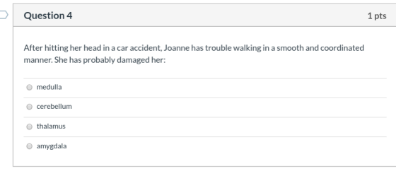 Question 4 1 pts After hitting her head in a car accident, Joanne has trouble walking in a smooth and coordinated manner. She