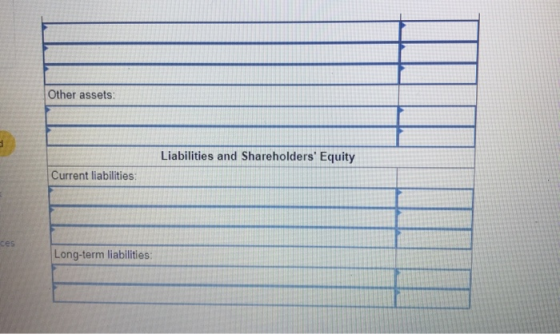 Other assets: Liabilities and Shareholders Equity Current liabilities: ces Long-term liabilities:
