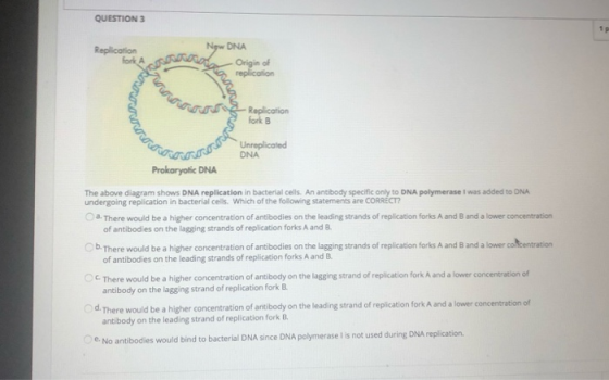 QUESTION 3 Replication Now DNA Origin of replication DOC Replication fork B CON RO Unreplicated DNA Prokaryotic DNA The above