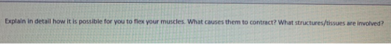 Explain in detail how it is possible for you to flex your muscles. What causes them to contract? What structures/tissues are