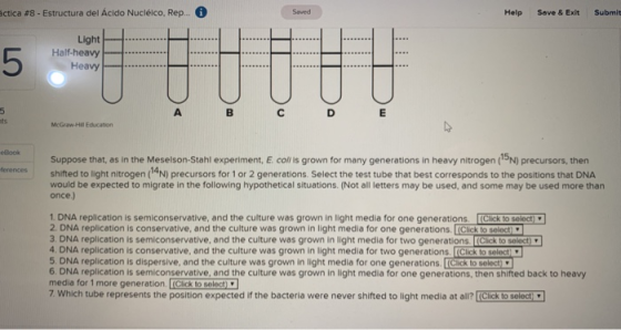 áctica #8 - Estructura del Ácido Nucléico, Rep... Help Save & Exit Submit Light Half-heavy Heavy McGraw-Hill Education ellook