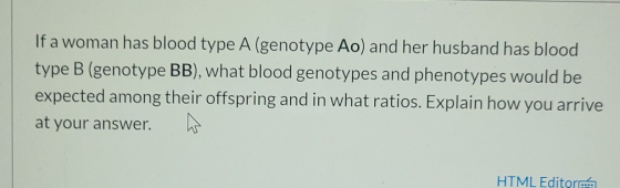 If a woman has blood type A (genotype Ao) and her husband has blood type B (genotype BB), what blood genotypes and phenotypes